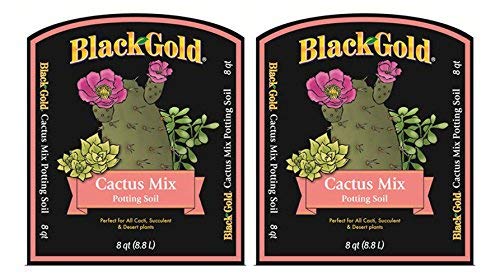 Sun GRO Horticulture Black Gold Cactus Mix (8 qt) (2 Pack)