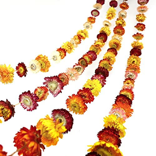 Dried Flowers Garland