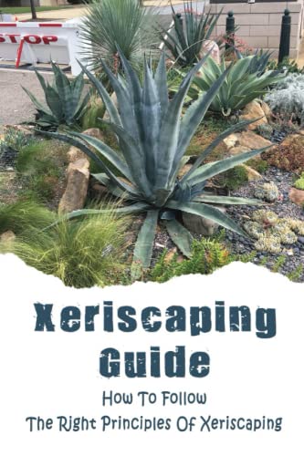 Xeriscaping Guide: Create a Water-Efficient and Sustainable Garden