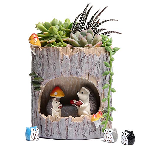 Cute Succulent Pots with Drainage - Hedgehog, Frog, Bunny, and Bear