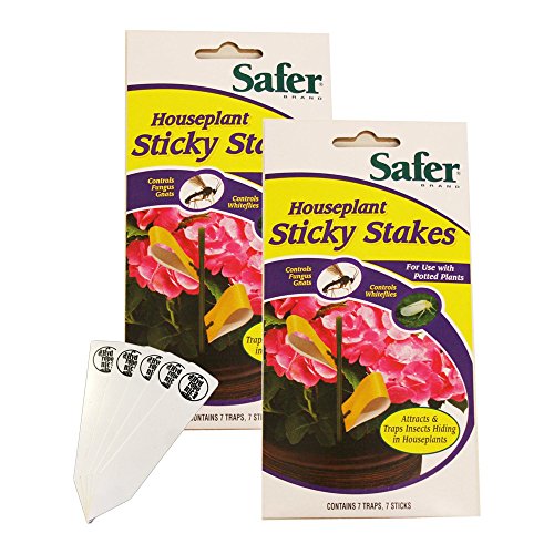 Safer Brand Houseplant Sticky Stakes Insect Trap