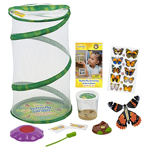 Butterfly Mini Garden Gift Set