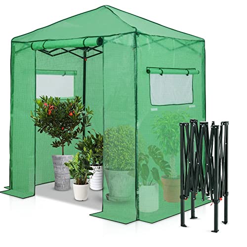 EAGLE PEAK 6x4 Portable Walk-in Greenhouse