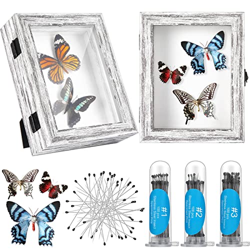 2 Pcs Insect Display Case Collection Shadow Boxes