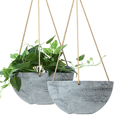 10 Inch Hanging Planter - HECTOLIFE