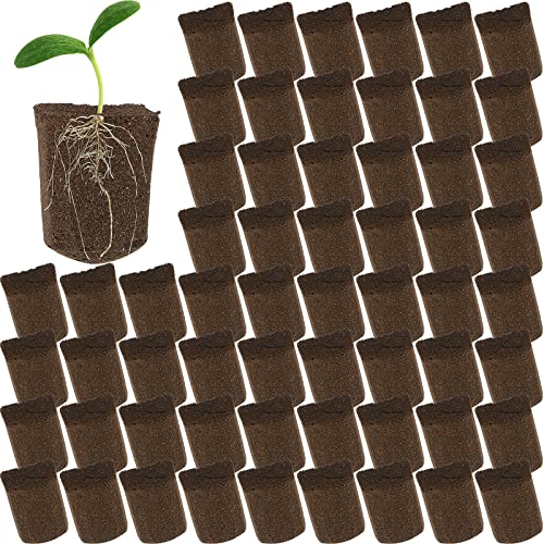 Organic Rooter Plugs for Seed Starting and Cloning (100 Pieces)
