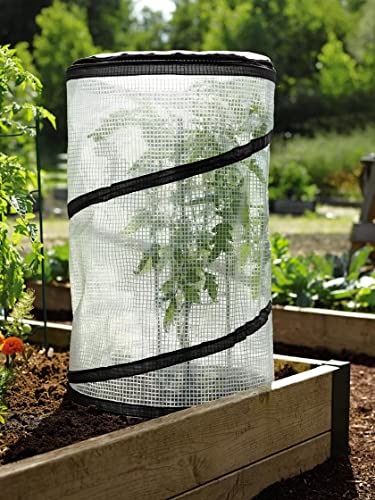 Pop-Up Tomato Accelerator Plant Cage