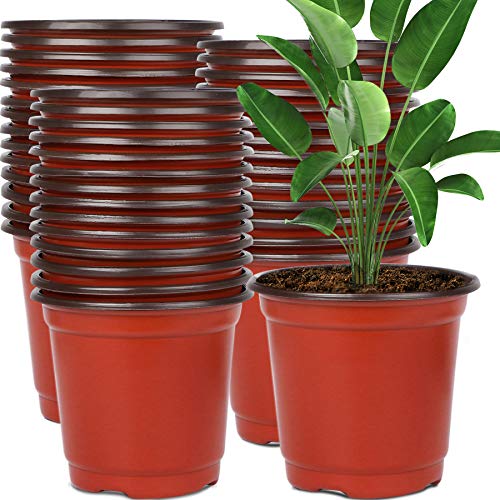 Augshy Plastic Plant Nursery Pots