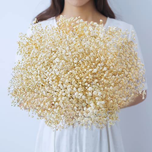 Dried-Flowers-Babys-Breath-Bouquet-17.2 inch 2500+ Ivory White Flowers