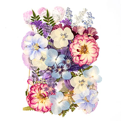 Blaflo Purple Flowers for Crafts