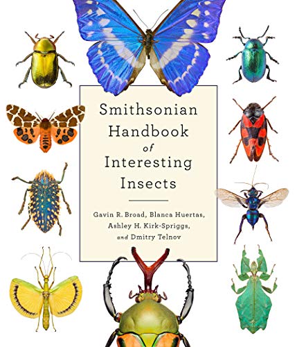 Interesting Insects Handbook