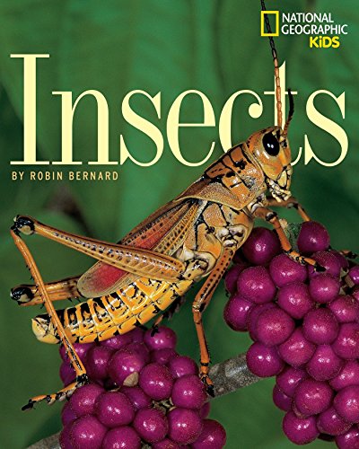 National Geographic's 'Insects': A Fascinating Journey into the World of Bugs