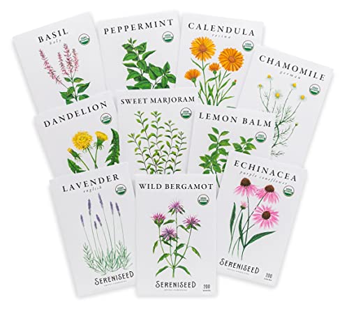 Organic Herbal Tea Seed Collection (10-Pack)