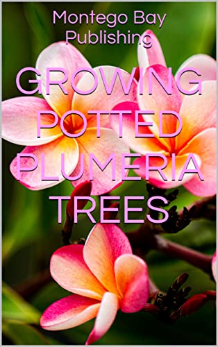 Potted Plumeria Trees - Bringing Tropical Paradise to Your Garden