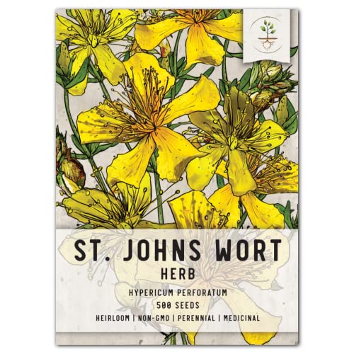 Seed Needs St. Johns Wort Medicinal Herb Seeds