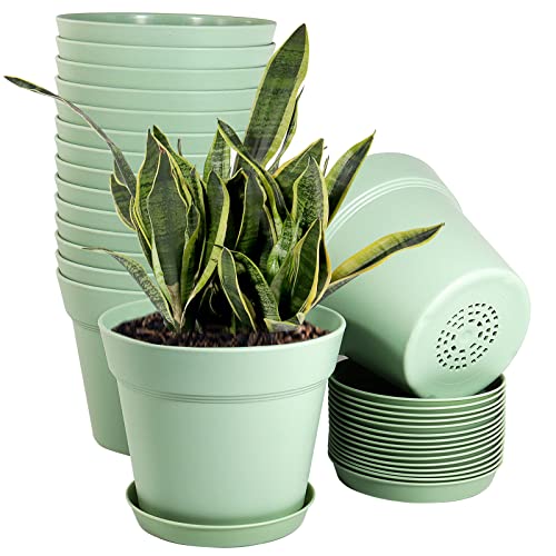 Stylish 6 Inch Plant Pots with Drainage Holes and Tray