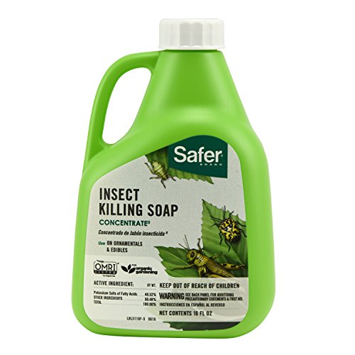 Safer Insect Killing Soap Concentrate