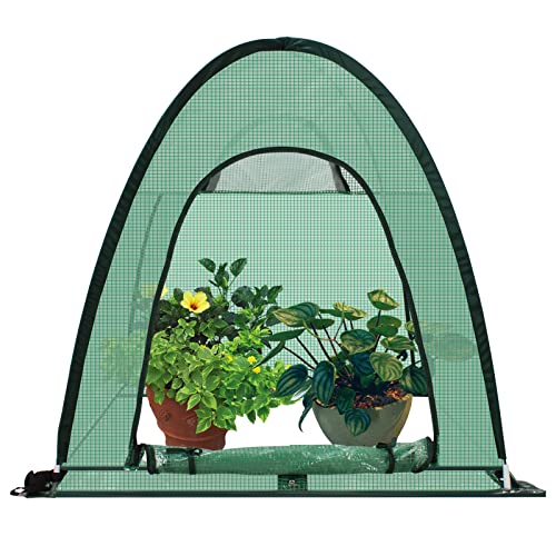 Upgraded Pop-Up Plant Greenhouse