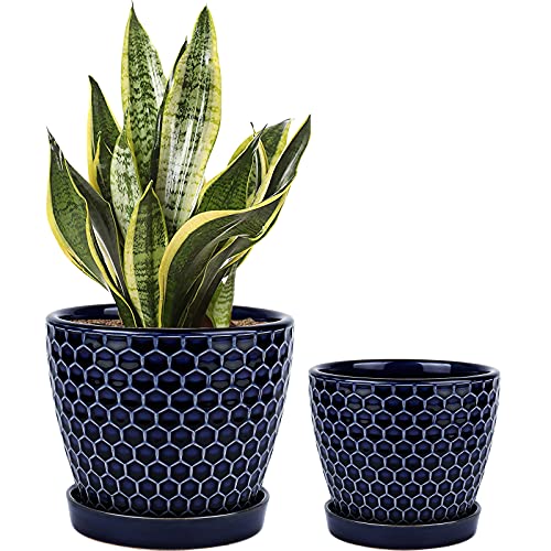 Docrin Indoor Plant Pots