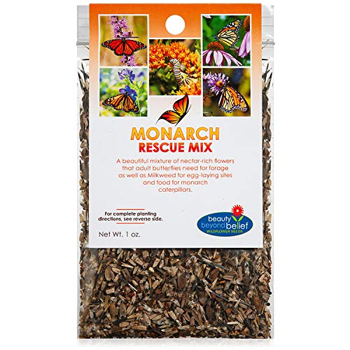 Monarch Butterfly Rescue Wildflower Seed Packet