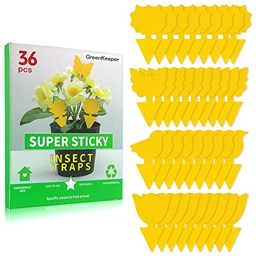 36 Pcs Sticky Traps for Fruit Fly