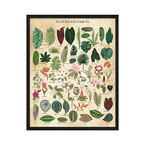 Vintage Plant Poster