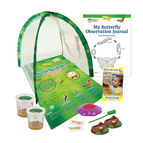 Insect Lore Butterfly Growing Kit