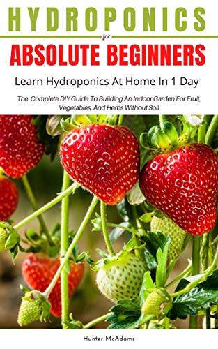 Hydroponics for Absolute Beginners: DIY Guide to Easy Gardening