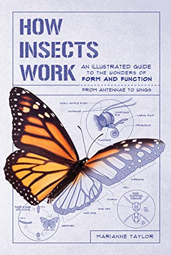 Illustrated Guide to the Wonders of Insects