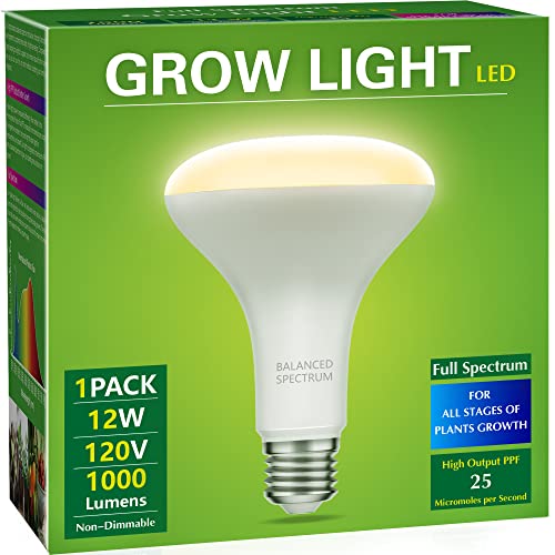 Briignite BR30 Grow Light Bulb