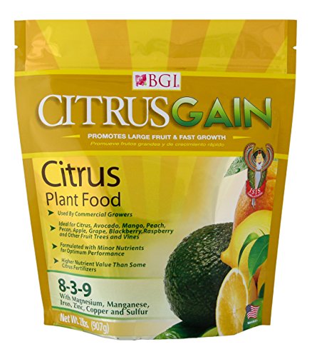 BGI Fertilizers Citrusgain Bag