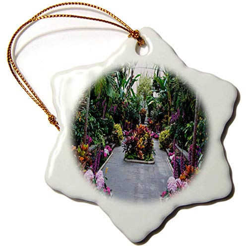 3dRose Roni Chastain Floral - Inside The Greenhouse - Ornaments