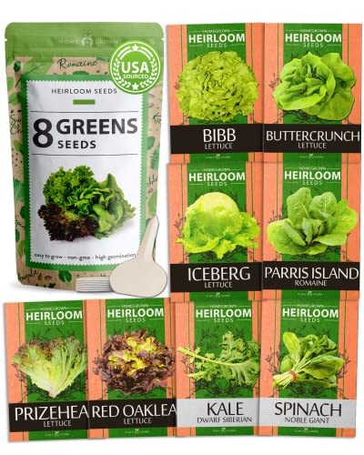 Lettuce & Salad Greens Seed Vault - 4,000+ Seeds