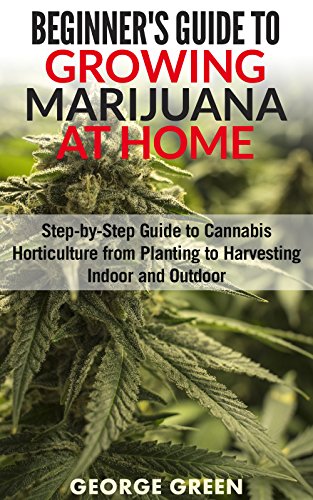 Beginner's Guide to Growing Marijuana at Home