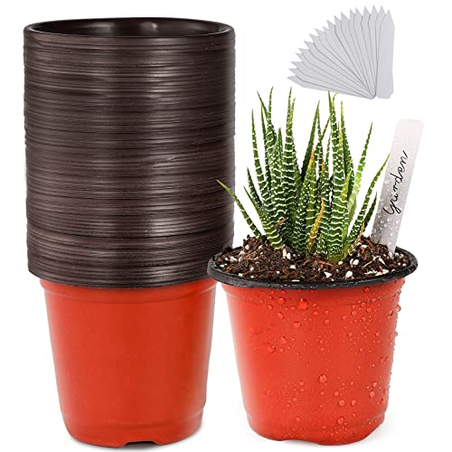 TDHDIKE Plastic Planter Nursery Pots 4" Small (50pcs)