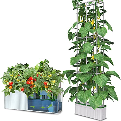 Smart Hydroponic Growing System