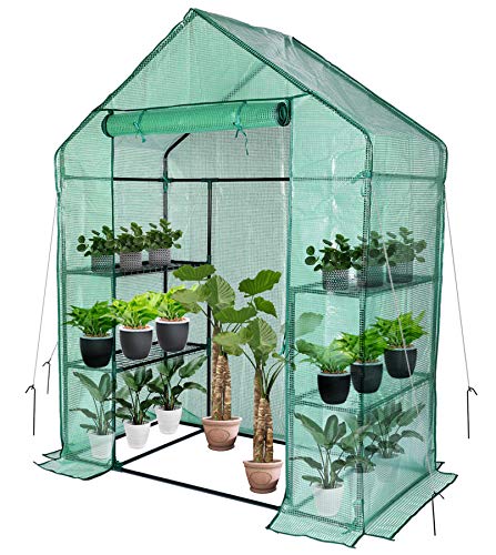 Portable Walk-in Greenhouse for Outdoors