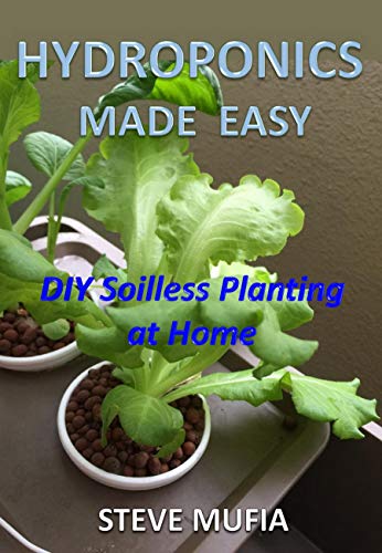 Hydroponics Made Easy: DIY Soilless Planting