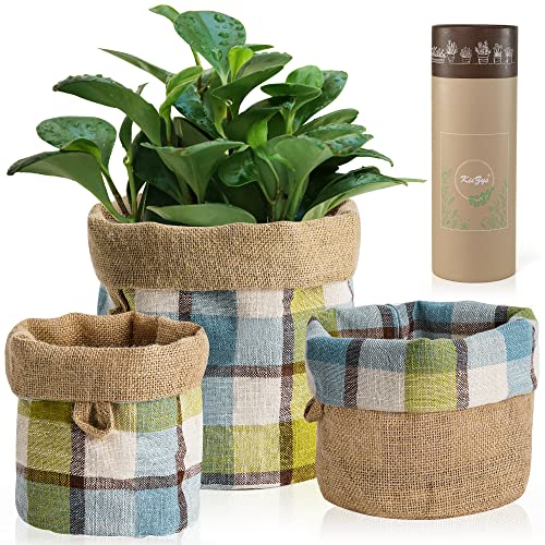 KIIZYS Indoor Plant Pot Cover Set - Rustic Green 3-Piece Woven Basket