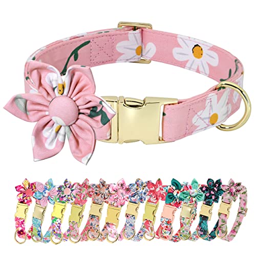 Cute Girl Dog Collars for Small, Medium & Large Dogs