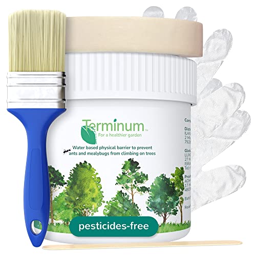 TERMINUM Ant Barrier - Water-Based Barrier for Ants & Mealybugs