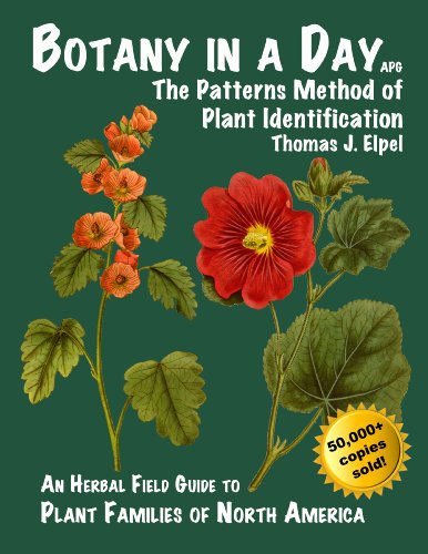 Botany in a Day: Plant Identification Made Easy