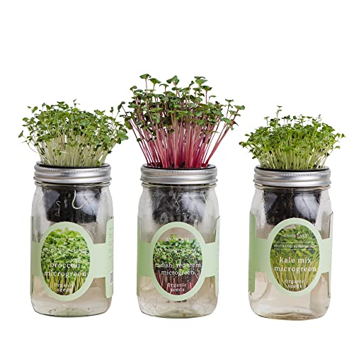 Environet Hydroponic Microgreens Growing Kit