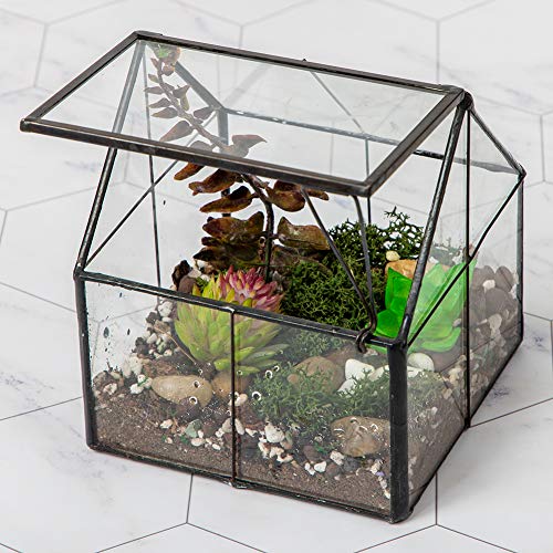 Glass Plant Terrarium Container