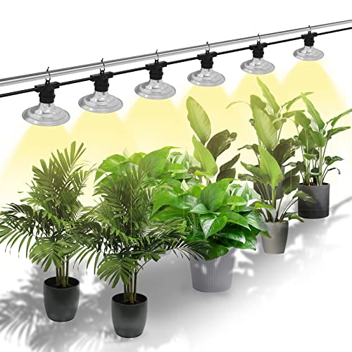 SEEYANG Grow Lights for Greenhouse - Outdoor String Grow Lights