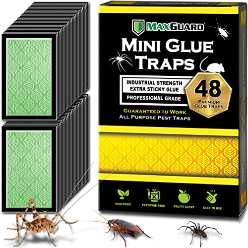 MaxGuard Mini Glue Traps - Effective Solution for Crawling Insects