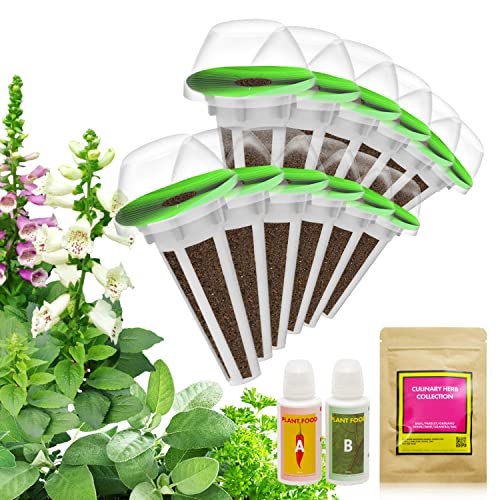 Herb Seed Starter Pod Kit Plant for AeroGarden