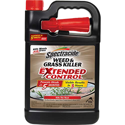 Spectracide Insect Killer