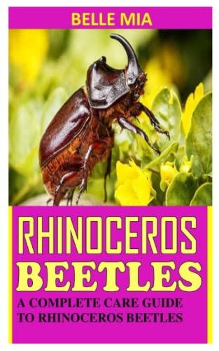 Complete Care Guide to Rhinoceros Beetles