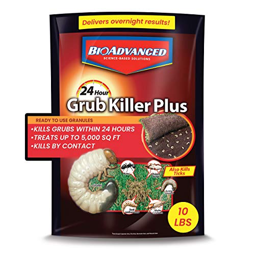 BioAdvanced 24-Hour Grub Plus: Fast-Acting Lawn Insect Killer